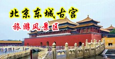 免费看男女生日逼。中国北京-东城古宫旅游风景区